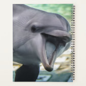 Getty Images | Delphin Planer (Rückseite)