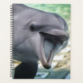 Getty Images | Delphin Planer (Vorderseite)