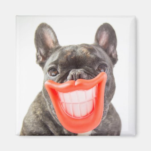 Getty Images | Ein lächelnder Hund Magnet (Vorne)