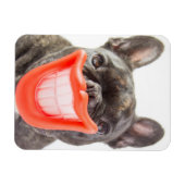 Getty Images | Ein lächelnder Hund Magnet (Horizontal)