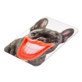 Getty Images | Ein lächelnder Hund Magnet (Linke Seite)