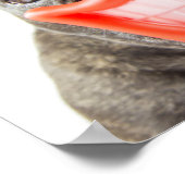 Getty Images | Ein lächelnder Hund Poster (Ecke)