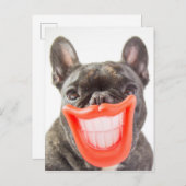 Getty Images | Ein lächelnder Hund Postkarte (Vorne/Hinten)