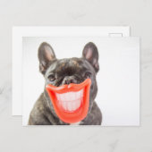 Getty Images | Ein lächelnder Hund Postkarte (Vorne/Hinten)