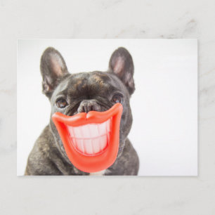 Getty Images   Ein lächelnder Hund Postkarte