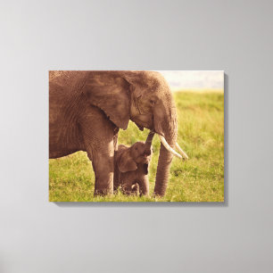 Getty Images Elephant & Baby Leinwanddruck
