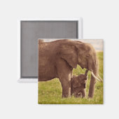 Getty Images | Elephant & Baby Magnet (Vorderseite/Rückseite)