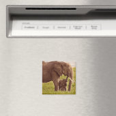 Getty Images | Elephant & Baby Magnet (In Situ (Geschirrspüler))