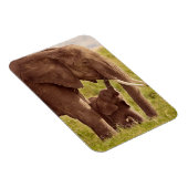 Getty Images | Elephant & Baby Magnet (Rechte Seite)