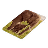 Getty Images | Elephant & Baby Magnet (Linke Seite)