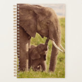 Getty Images | Elephant & Baby Planer (Vorderseite)