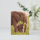 Getty Images | Elephant & Baby Postkarte (Stehend Vorderseite)