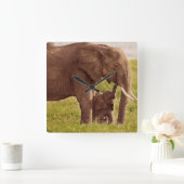Getty Images | Elephant & Baby Quadratische Wanduhr (Zuhause)