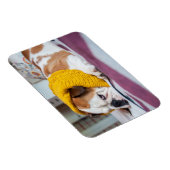 Getty Images | English Bulldog Magnet (Rechte Seite)
