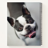 Getty Images | French Bulldog Notizblock (Rückseite)