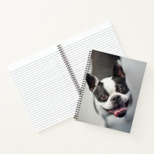 Getty Images French Bulldog Notizblock