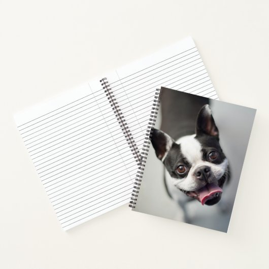 Getty Images | French Bulldog Notizblock (Innenseite)