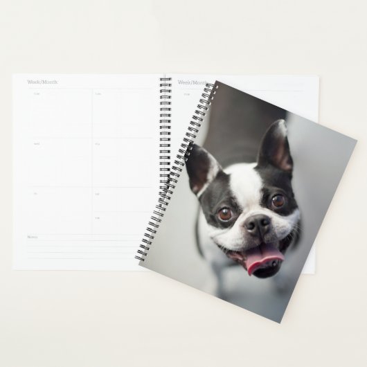 Getty Images | French Bulldog Planer (Anzeige)