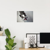 Getty Images | French Bulldog Poster (Heimbüro)