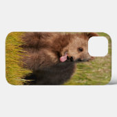 Getty Images | Funny Baby Bear Case-Mate iPhone Hülle (Rückseite (Horizontal))
