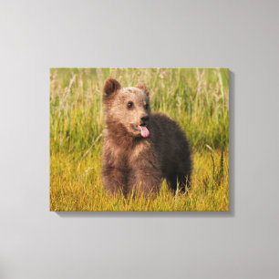 Getty Images Funny Baby Bear Leinwanddruck