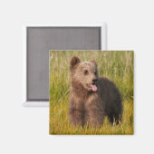 Getty Images | Funny Baby Bear Magnet (Vorderseite/Rückseite)
