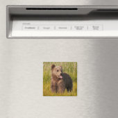 Getty Images | Funny Baby Bear Magnet (In Situ (Geschirrspüler))