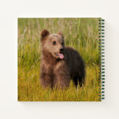 Getty Images | Funny Baby Bear Notizbuch (Rückseite)