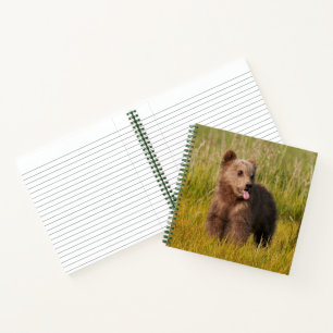 Getty Images Funny Baby Bear Notizbuch