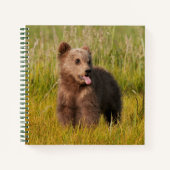 Getty Images | Funny Baby Bear Notizbuch (Vorderseite)