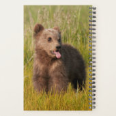 Getty Images | Funny Baby Bear Planer (Rückseite)