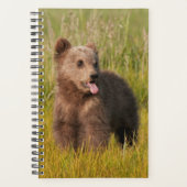 Getty Images | Funny Baby Bear Planer (Vorderseite)