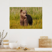 Getty Images | Funny Baby Bear Poster (Küche)