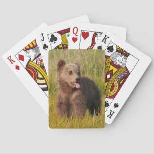 Getty Images   Funny Baby Bear Spielkarten