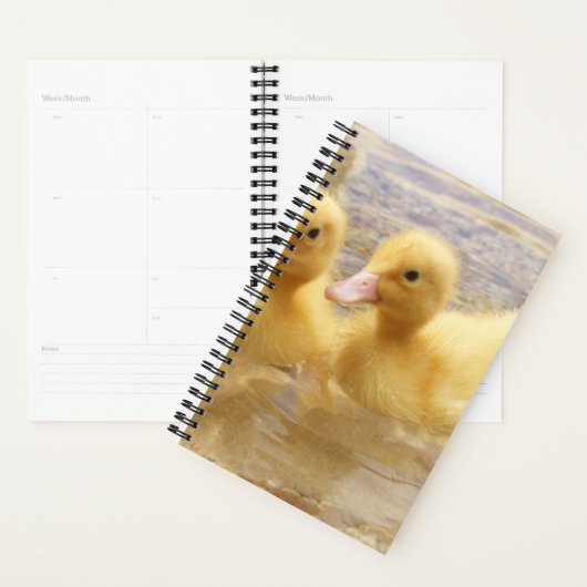 Getty Images | Fuzzy Yellow Ducklings Planer (Anzeige)