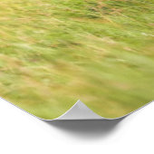 Getty Images | Giraffenfamilie Poster (Ecke)