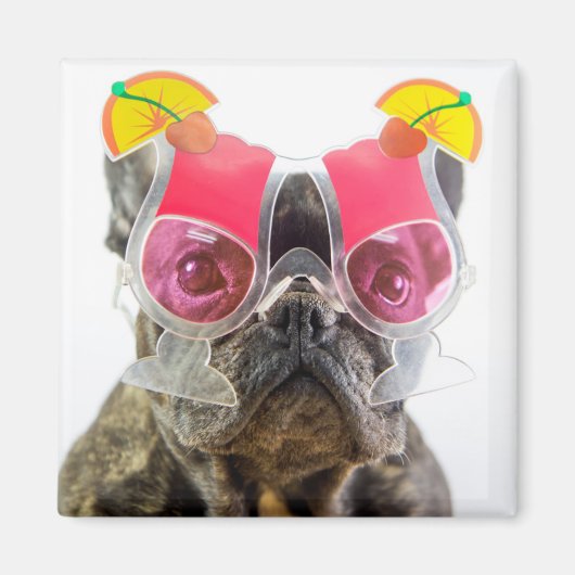 Getty Images | Hund mit Cocktailbrille Magnet (Vorne)