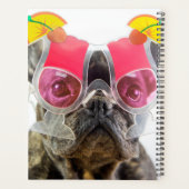 Getty Images | Hund mit Cocktailbrille Planer (Rückseite)