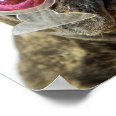 Getty Images | Hund mit Cocktailbrille Poster (Ecke)