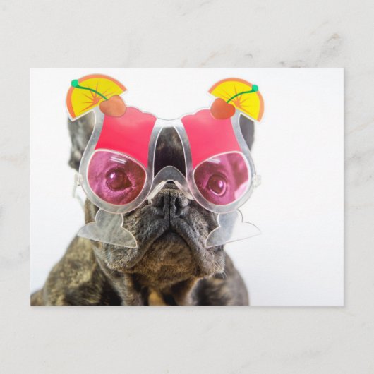Getty Images | Hund mit Cocktailbrille Postkarte (Vorderseite)
