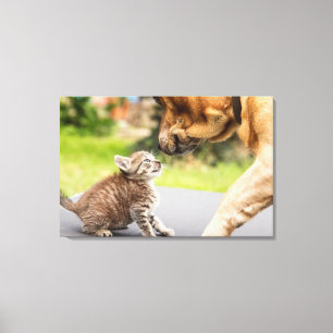 Getty Images   Hund und Katze in Liebe Leinwanddruck