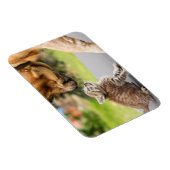 Getty Images | Hund und Katze in Liebe Magnet (Rechte Seite)