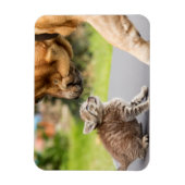 Getty Images | Hund und Katze in Liebe Magnet (Vertikal)