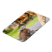 Getty Images | Hund und Katze in Liebe Magnet (Linke Seite)