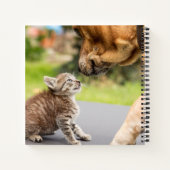 Getty Images | Hund und Katze in Liebe Notizbuch (Rückseite)