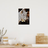 Getty Images | Kleine Ziege Poster (Küche)