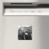 Getty Images | Lächelnde Pferde Magnet (In Situ (Geschirrspüler))