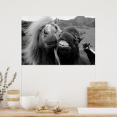 Getty Images | Lächelnde Pferde Poster (Küche)