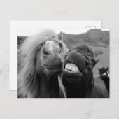 Getty Images | Lächelnde Pferde Postkarte (Vorne/Hinten)