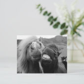 Getty Images | Lächelnde Pferde Postkarte (Stehend Vorderseite)